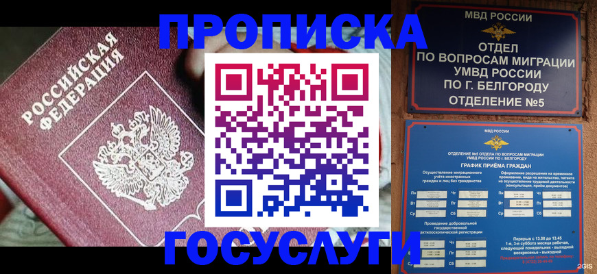 прописка гарантия в Тульской области